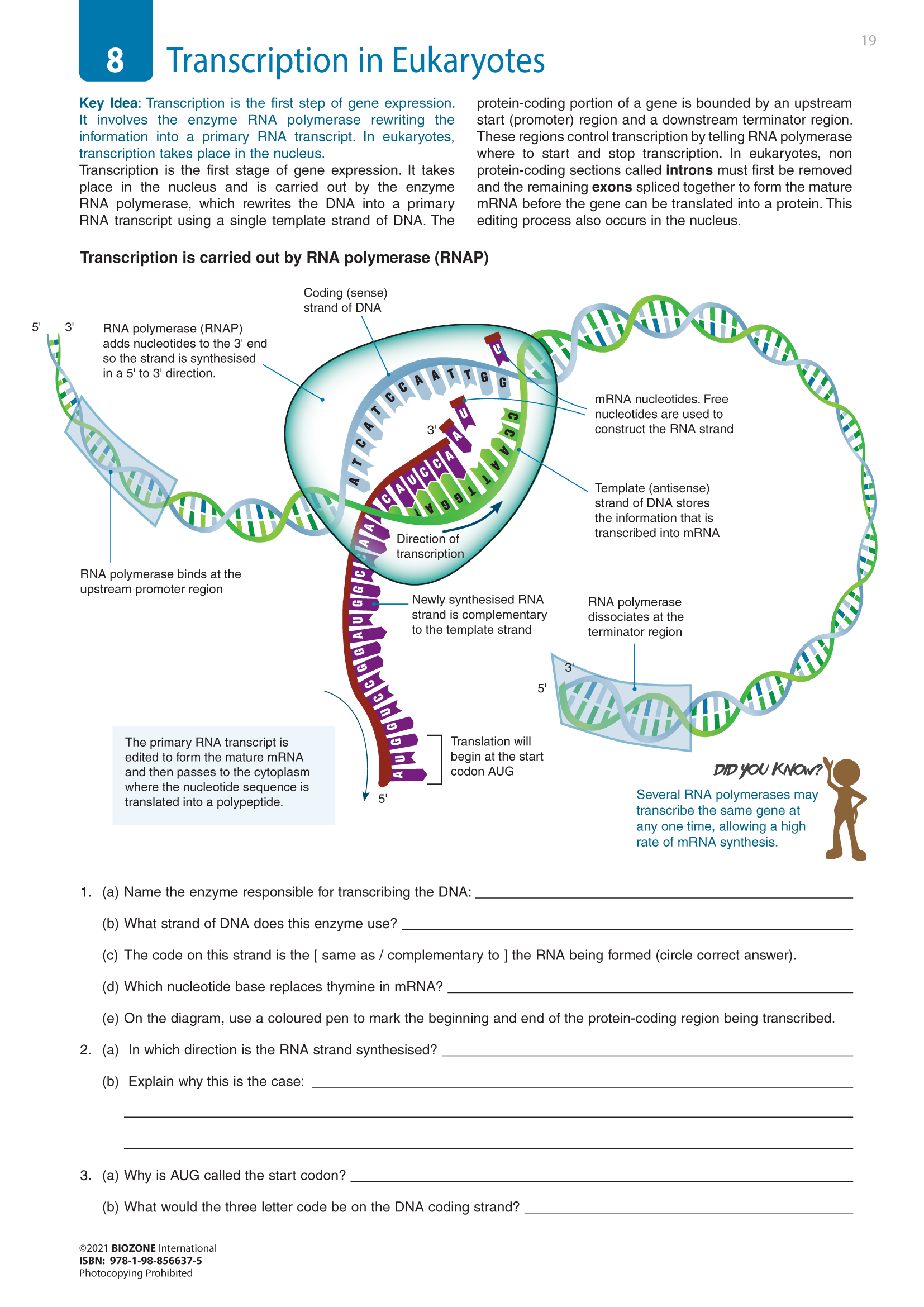 VCE2 Sample Page